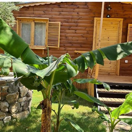 Derin Tas-Bungalow Датча Екстериор снимка